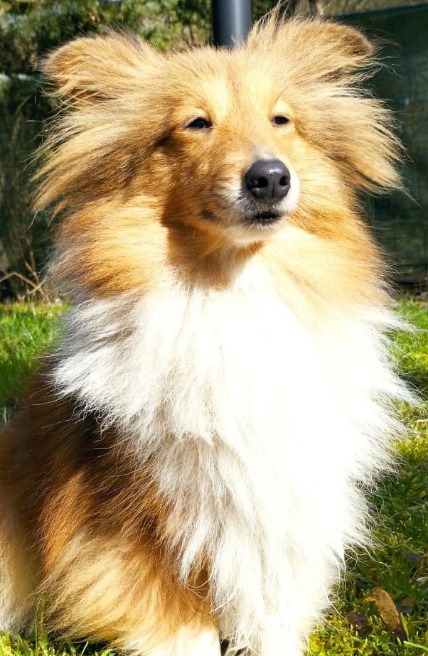 Be With You Face of Lightning